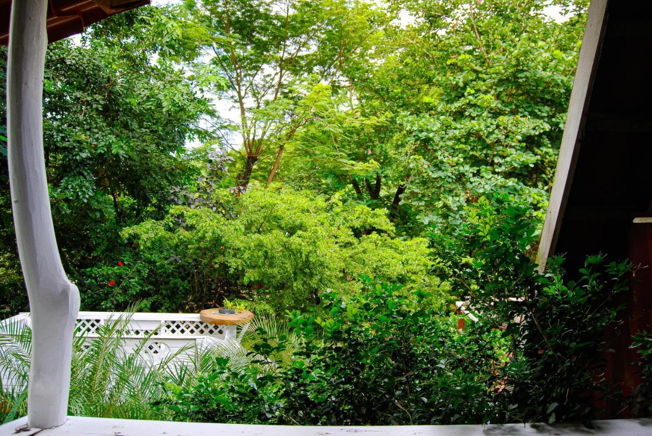 Hacienda Sarah Villa Nosara Bagian luar foto